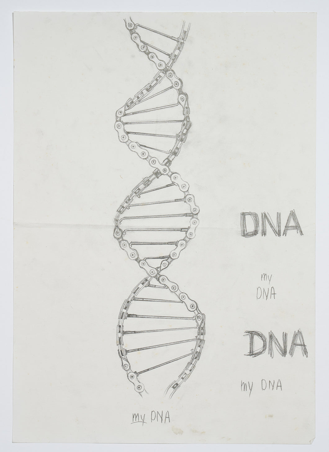 DNA - ORIGINAL (A3)